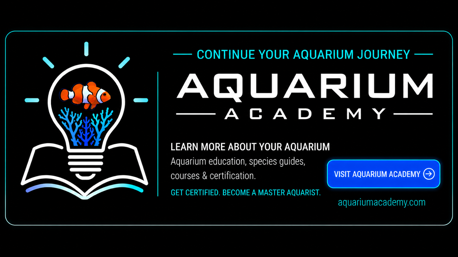 Aquarium Academy aquarium education, species guides, courses and Master Aquarist certification